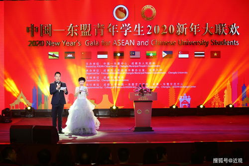 文化共融 青年筑夢 中國-東盟青年學(xué)生2020新年大聯(lián)歡在成大綻放友誼之花