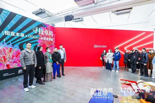 《尋找卓瑪》 非遺文化的當(dāng)代藝術(shù)表達(dá)與文化交流實(shí)踐